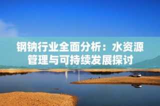 钢钠行业全面分析：水资源管理与可持续发展探讨