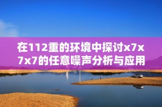 在112重的环境中探讨x7x7x7的任意噪声分析与应用