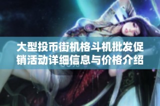 大型投币街机格斗机批发促销活动详细信息与价格介绍