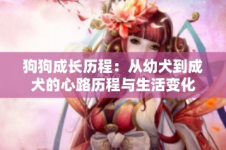 狗狗成长历程：从幼犬到成犬的心路历程与生活变化