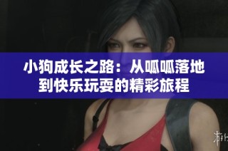 小狗成长之路：从呱呱落地到快乐玩耍的精彩旅程