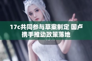 17c共同参与草案制定 国卢携手推动政策落地