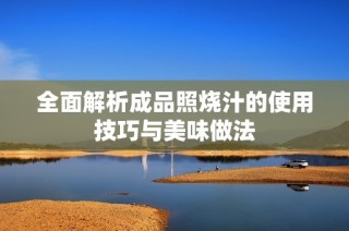 全面解析成品照烧汁的使用技巧与美味做法