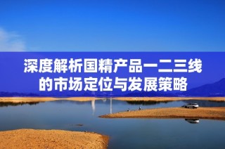 深度解析国精产品一二三线的市场定位与发展策略