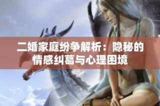 二婚家庭纷争解析：隐秘的情感纠葛与心理困境