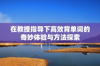 在教授指导下高效背单词的奇妙体验与方法探索