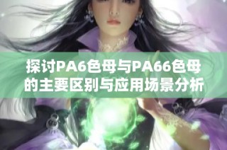 探讨PA6色母与PA66色母的主要区别与应用场景分析