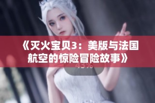 《灭火宝贝3：美版与法国航空的惊险冒险故事》