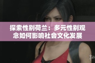 探索性别荷兰：多元性别观念如何影响社会文化发展