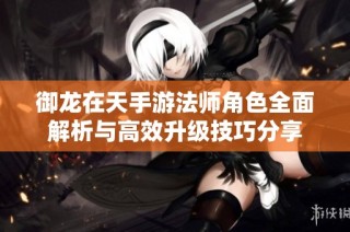 御龙在天手游法师角色全面解析与高效升级技巧分享