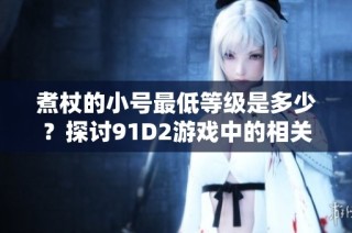 煮杖的小号最低等级是多少？探讨91D2游戏中的相关问题