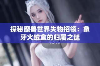 探秘魔兽世界失物招领：象牙火绒盒的归属之谜
