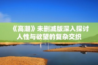 《高潮》未删减版深入探讨人性与欲望的复杂交织