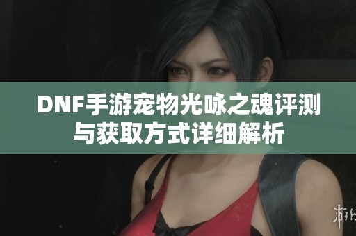 DNF手游宠物光咏之魂评测与获取方式详细解析