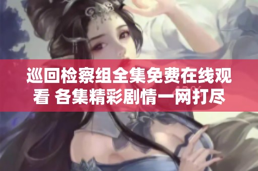 巡回检察组全集免费在线观看 各集精彩剧情一网打尽