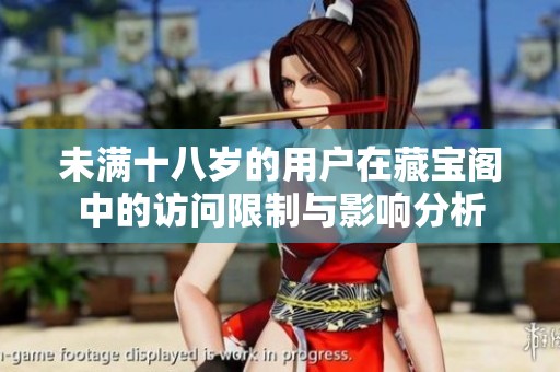 未满十八岁的用户在藏宝阁中的访问限制与影响分析