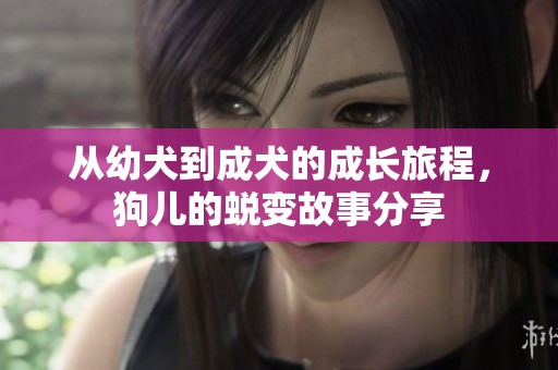 从幼犬到成犬的成长旅程，狗儿的蜕变故事分享