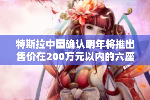 特斯拉中国确认明年将推出售价在200万元以内的六座版Model