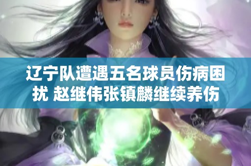 辽宁队遭遇五名球员伤病困扰 赵继伟张镇麟继续养伤