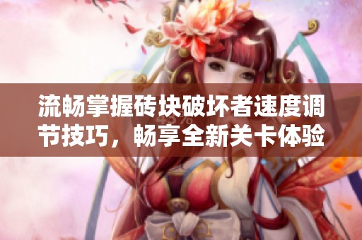 流畅掌握砖块破坏者速度调节技巧，畅享全新关卡体验！
