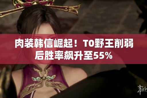 肉装韩信崛起！T0野王削弱后胜率飙升至55%
