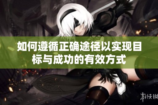 如何遵循正确途径以实现目标与成功的有效方式