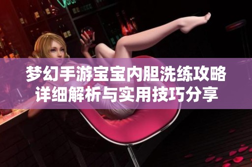 梦幻手游宝宝内胆洗练攻略详细解析与实用技巧分享