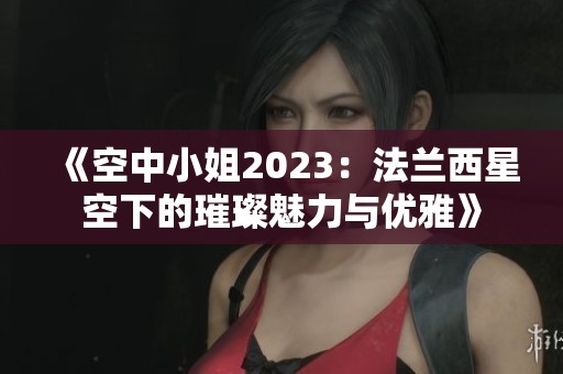 《空中小姐2023：法兰西星空下的璀璨魅力与优雅》