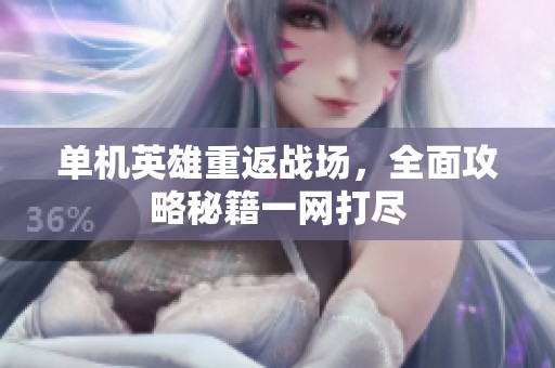 单机英雄重返战场，全面攻略秘籍一网打尽