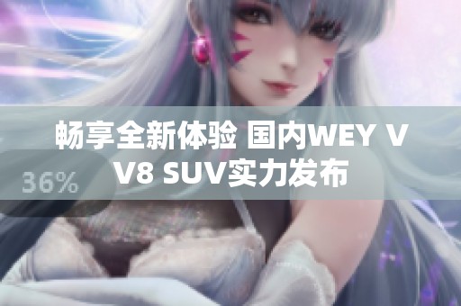 畅享全新体验 国内WEY VV8 SUV实力发布