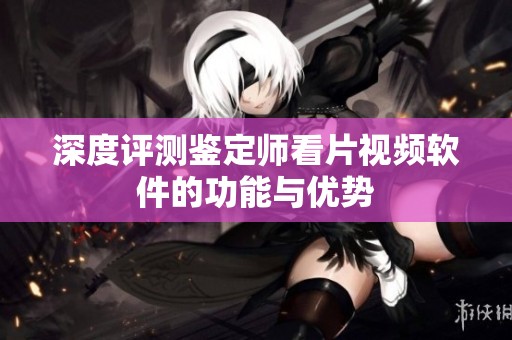 深度评测鉴定师看片视频软件的功能与优势