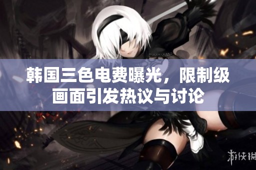 韩国三色电费曝光，限制级画面引发热议与讨论
