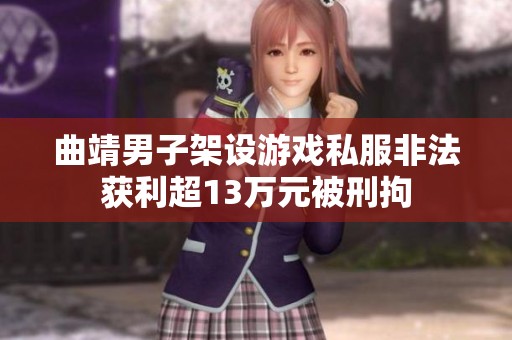 曲靖男子架设游戏私服非法获利超13万元被刑拘
