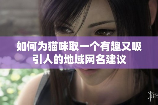 如何为猫咪取一个有趣又吸引人的地域网名建议