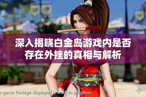 深入揭晓白金岛游戏内是否存在外挂的真相与解析