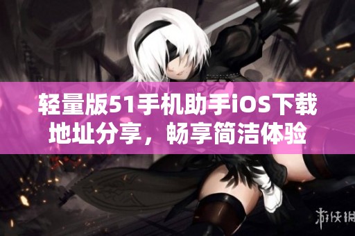 轻量版51手机助手iOS下载地址分享，畅享简洁体验