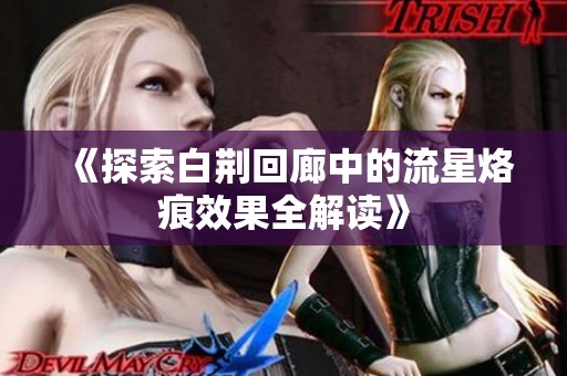 《探索白荆回廊中的流星烙痕效果全解读》