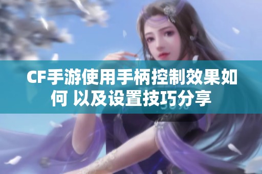CF手游使用手柄控制效果如何 以及设置技巧分享