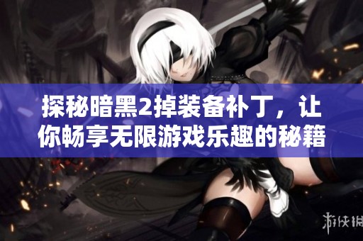 探秘暗黑2掉装备补丁，让你畅享无限游戏乐趣的秘籍