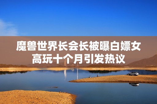 魔兽世界长会长被曝白嫖女高玩十个月引发热议