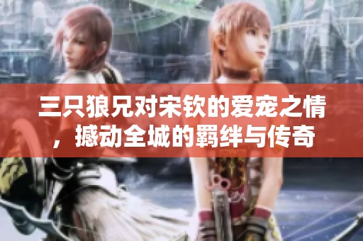 三只狼兄对宋钦的爱宠之情，撼动全城的羁绊与传奇