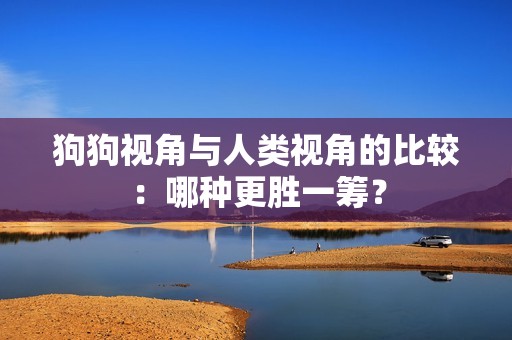 狗狗视角与人类视角的比较：哪种更胜一筹？
