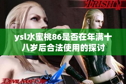 ysl水蜜桃86是否在年满十八岁后合法使用的探讨
