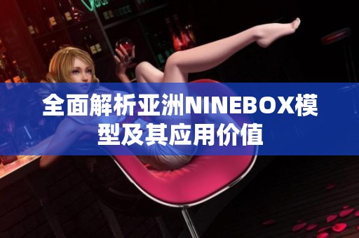 全面解析亚洲NINEBOX模型及其应用价值