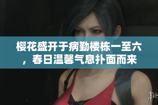樱花盛开于病勤楼栋一至六，春日温馨气息扑面而来