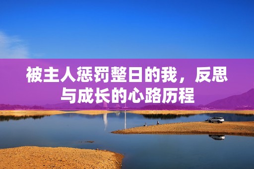被主人惩罚整日的我，反思与成长的心路历程