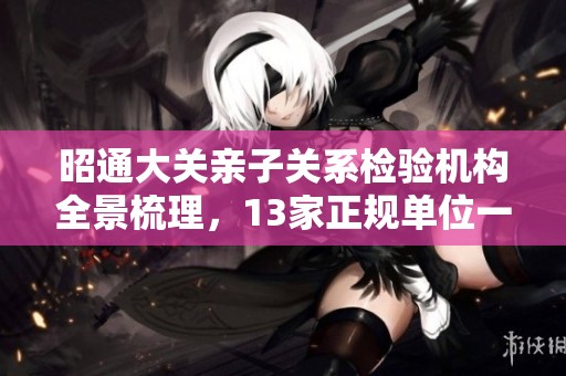 昭通大关亲子关系检验机构全景梳理，13家正规单位一览