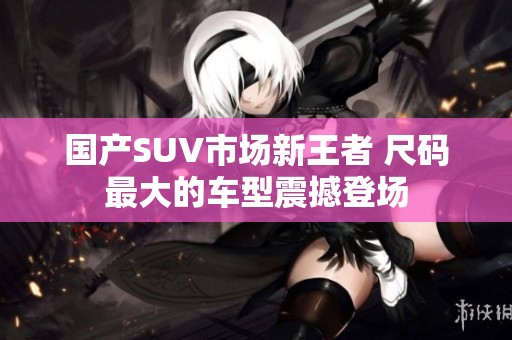 国产SUV市场新王者 尺码最大的车型震撼登场