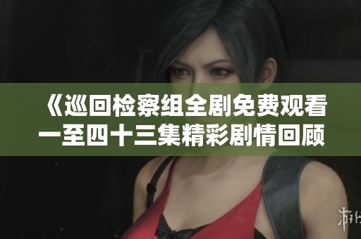《巡回检察组全剧免费观看一至四十三集精彩剧情回顾》