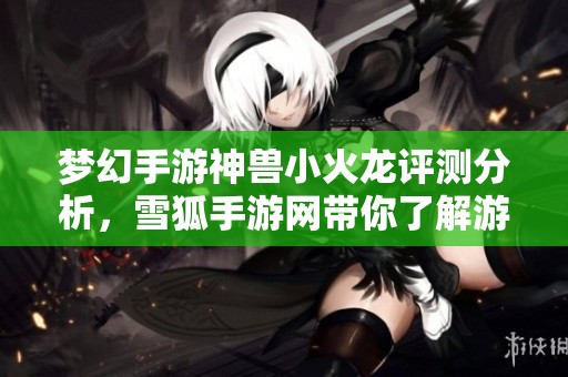 梦幻手游神兽小火龙评测分析，雪狐手游网带你了解游戏魅力